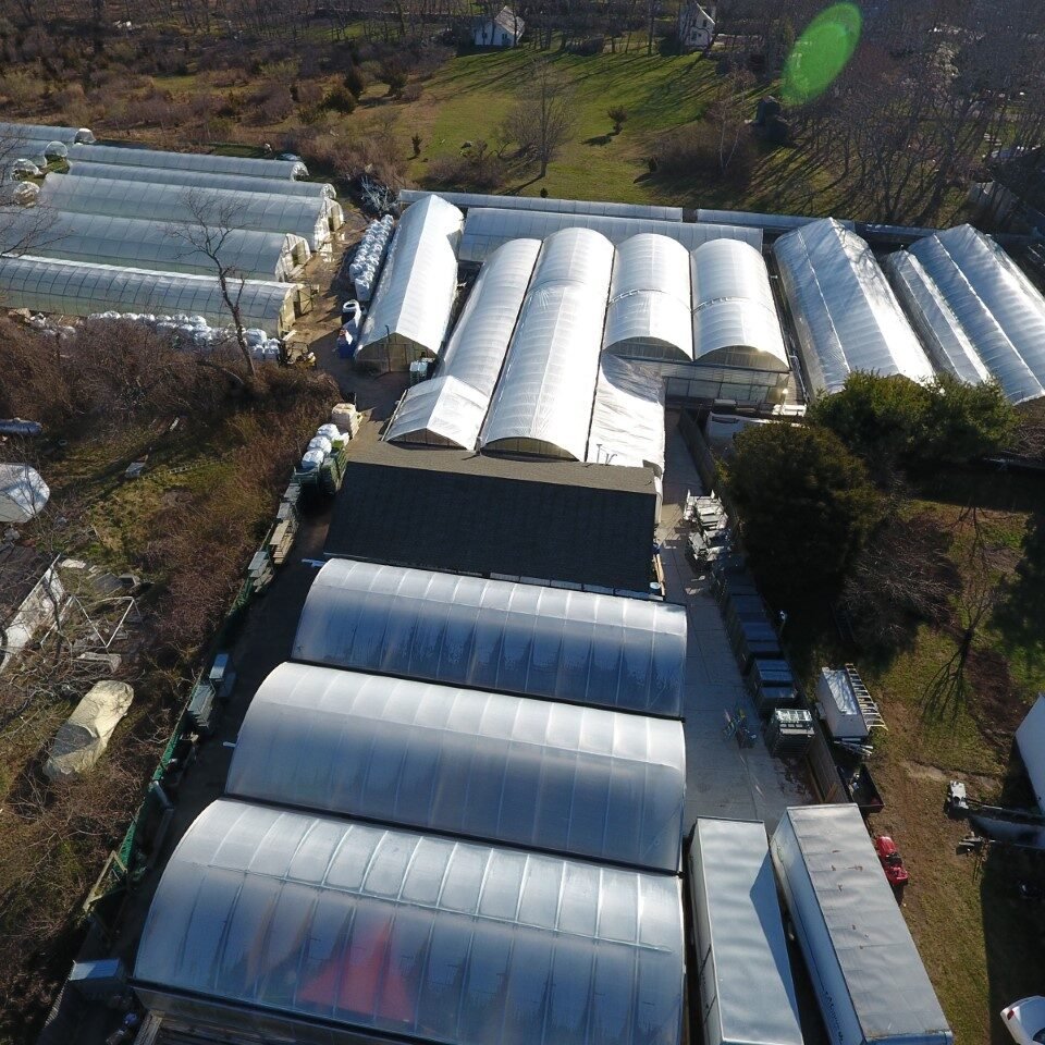 greenhouse overhead picture (1)